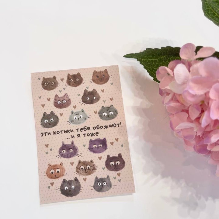 Открытка к букету "Котики" в Тамбове