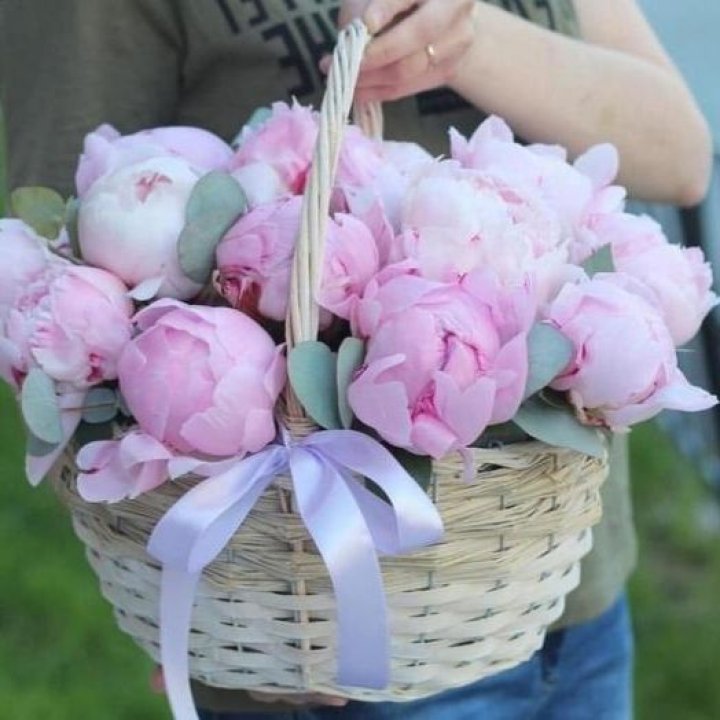 15 пионов в корзине в Тамбове