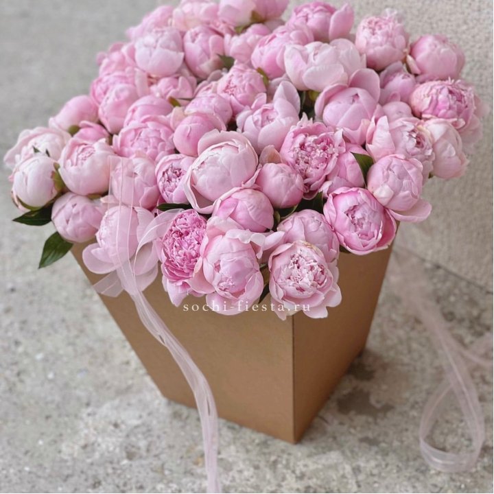 49 пионов в крафт коробке в Тамбове