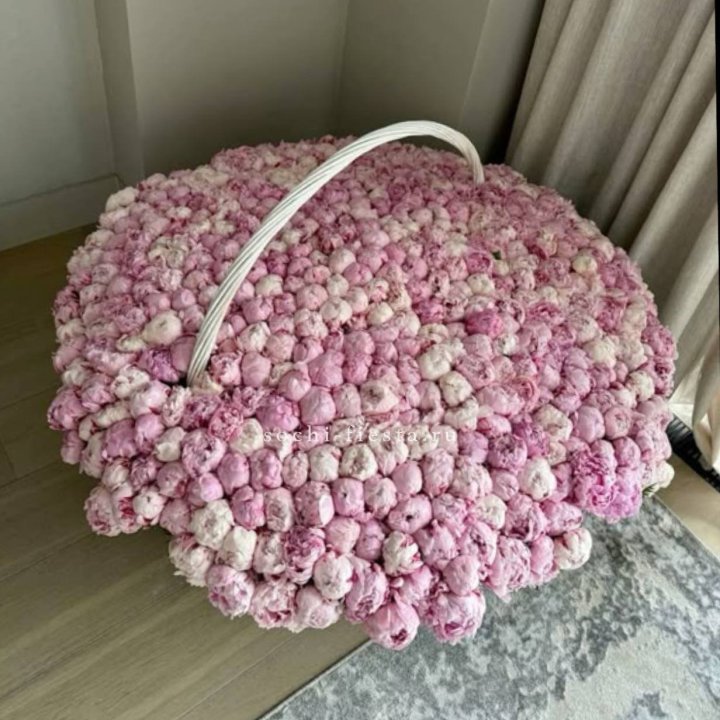 Корзина 555 пионов в Тамбове