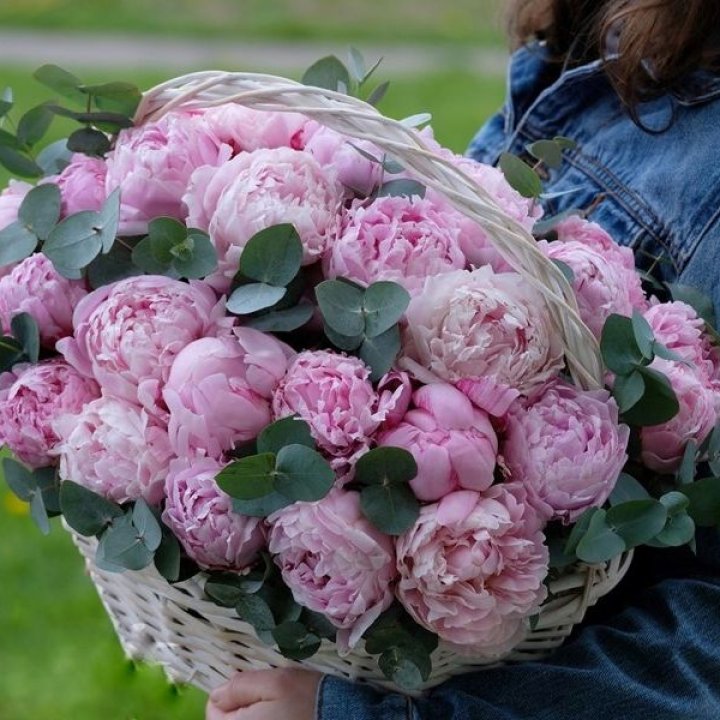 51 пион в корзине в Тамбове