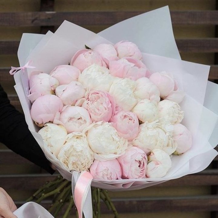 29 пионов в Тамбове