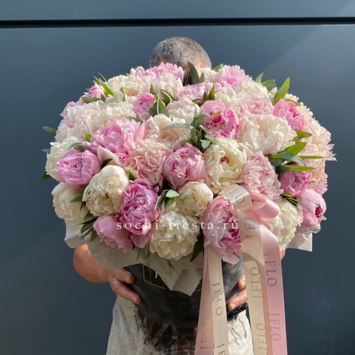 51 пионов в боксе в Тамбове