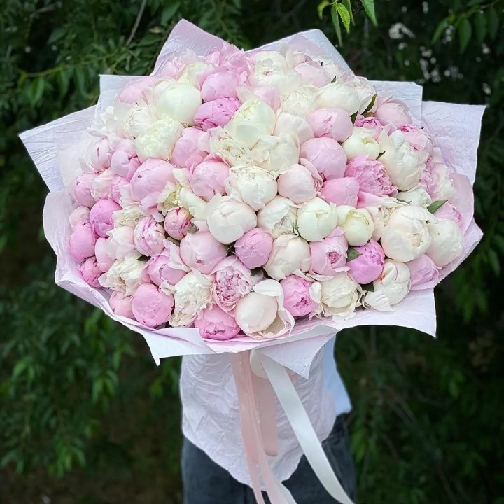 101 пион в Тамбове