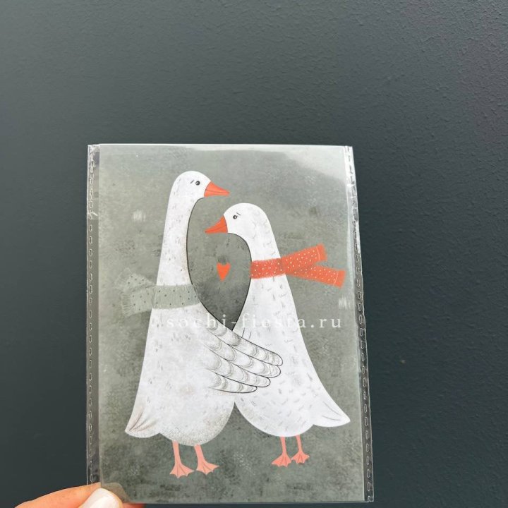 Открытка к букету "Гуси” в Тамбове