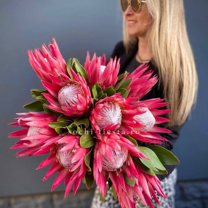 Протея штучно в Тамбове