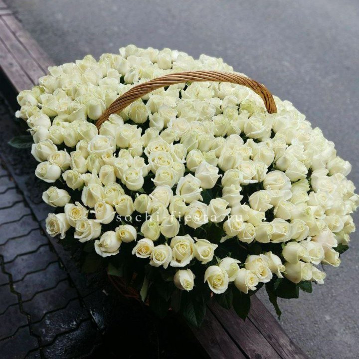 303 розы в корзине в Тамбове