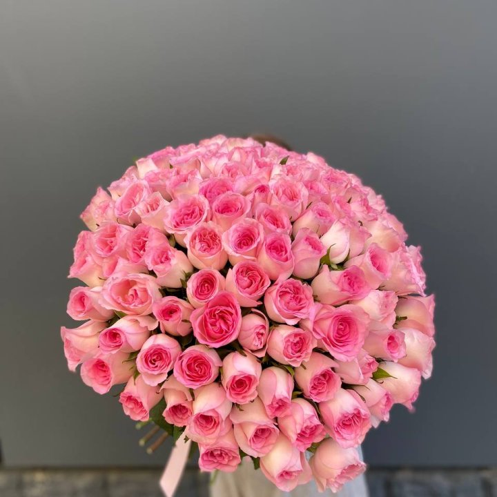 101 розовая роза в Тамбове