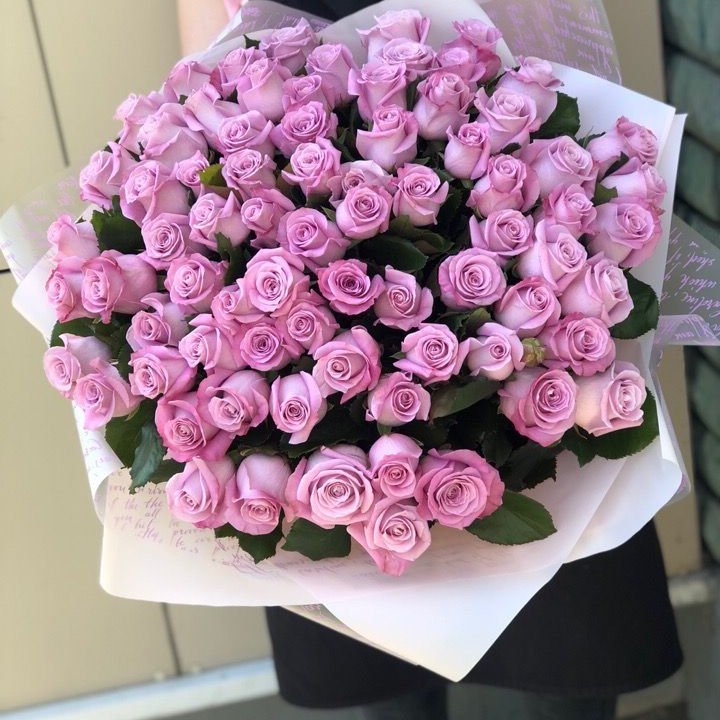 71 розовая роза "Маритим" в Тамбове