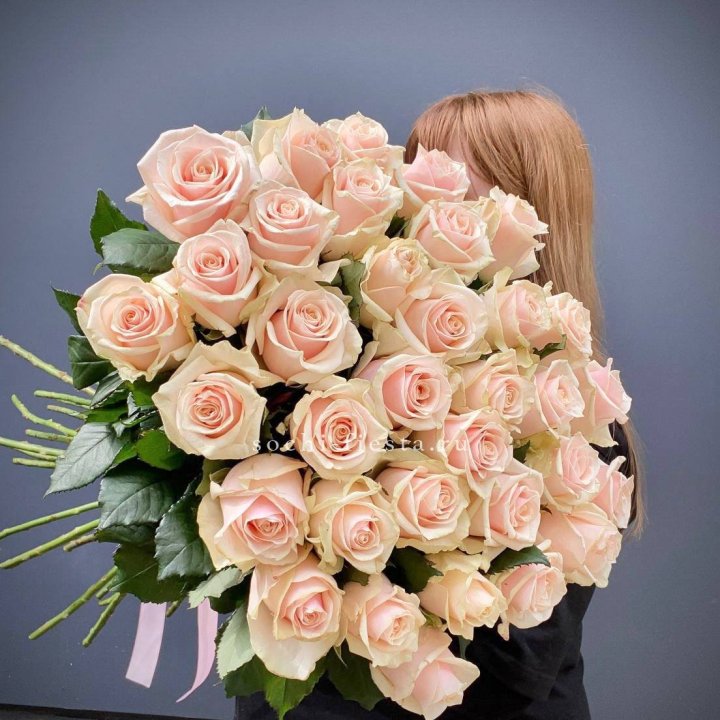 35 кремовых высоких роз в Тамбове