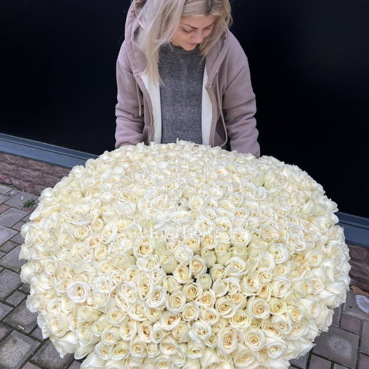 501 белая роза в корзине в Тамбове