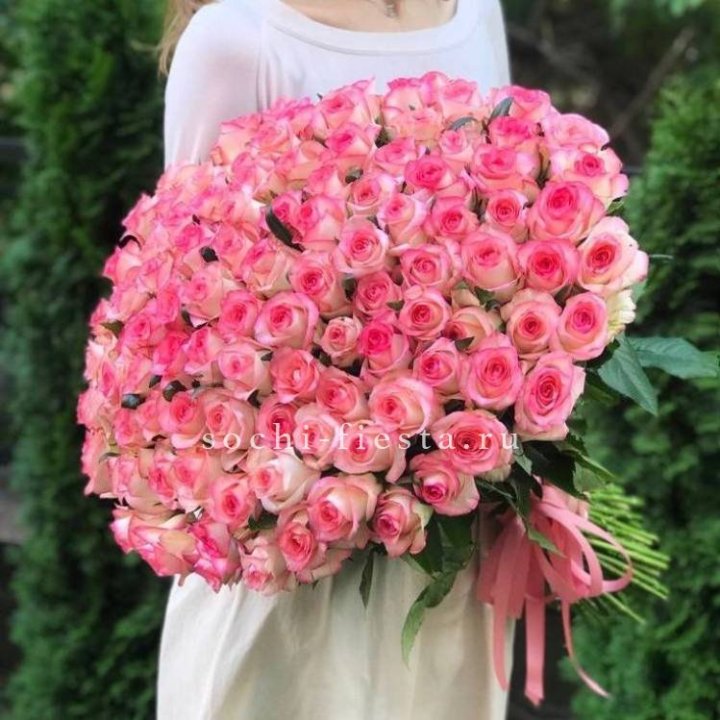 101  джумилия роза  в Тамбове