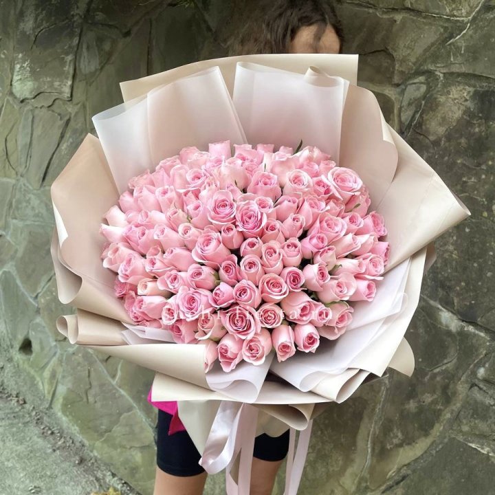 101 нежно-розовая роза Каролина  в Тамбове