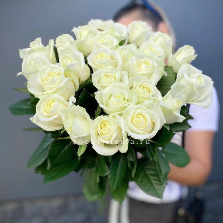 Голландские розы белые 25 в Тамбове