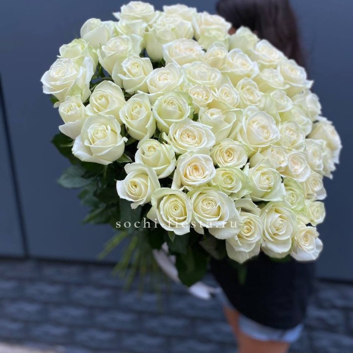 51 белоснежная высокая роза в Тамбове