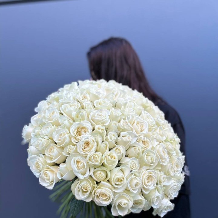 Охапка из 101 белой розы  в Тамбове