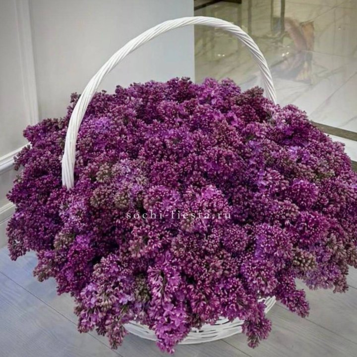 Корзина сирени в Тамбове