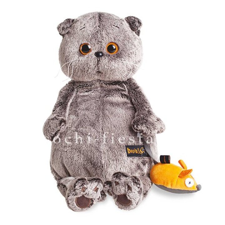 Кот Басик с мышкой в Тамбове