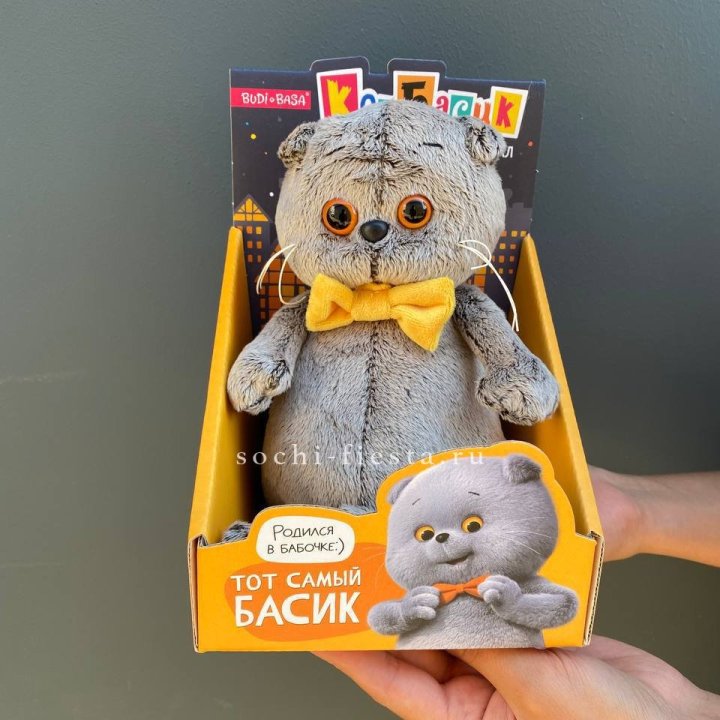 Кот Басик с бабочкой в Тамбове