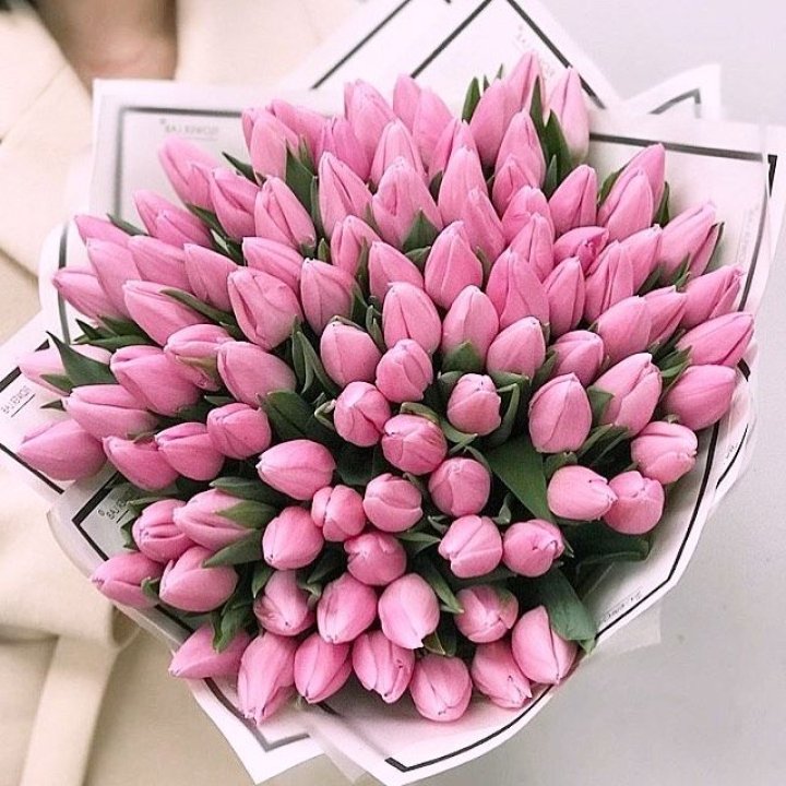 101 розовый тюльпан в белом в Тамбове