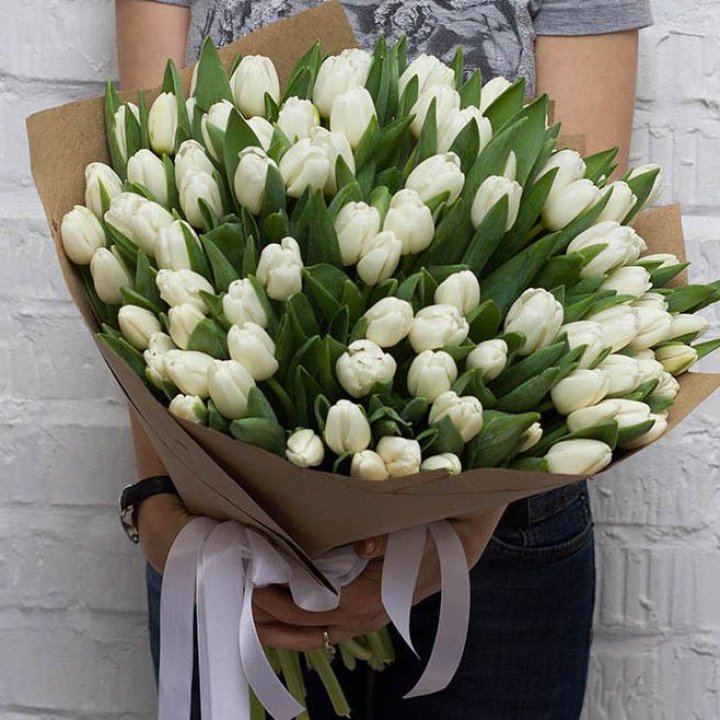 101 тюльпан сноу в Тамбове