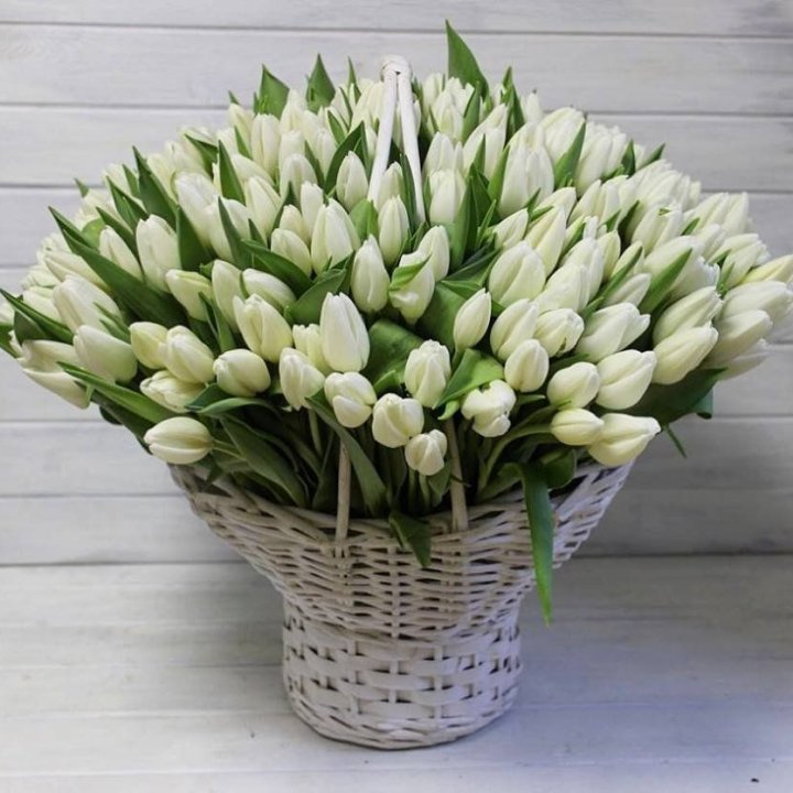 Корзина из 151 тюльпана в Тамбове