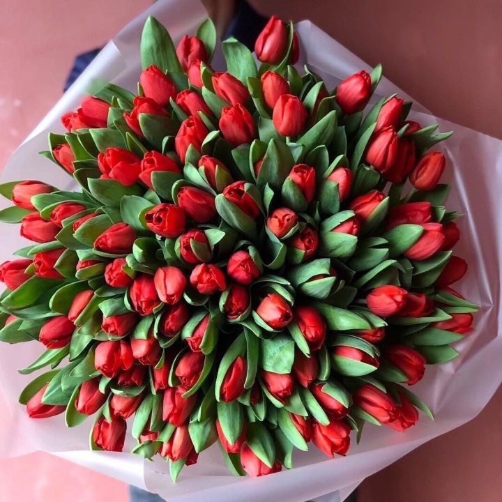 101 красный тюльпан в Тамбове